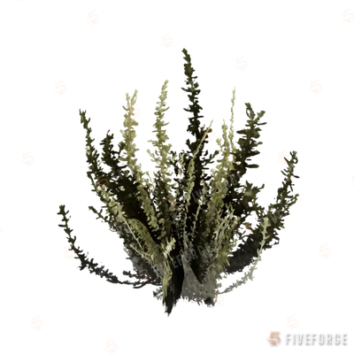 prop_small_bushyba GTA 5 object