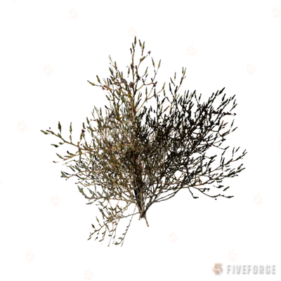 prop_thindesertfiller_aa GTA 5 object