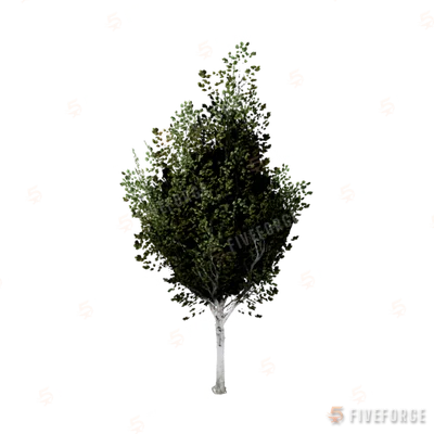 prop_tree_birch_03 GTA 5 object