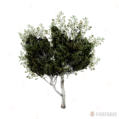 prop_tree_birch_03b GTA 5 object