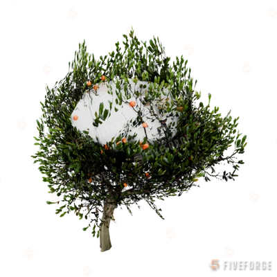 prop_tree_birch_05 GTA 5 object