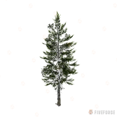 prop_tree_cedar_02 GTA 5 object