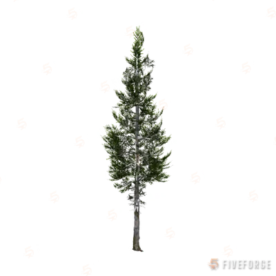 prop_tree_cedar_03 GTA 5 object