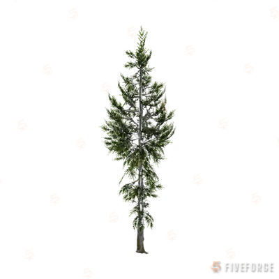 prop_tree_cedar_04 GTA 5 object