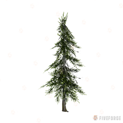 prop_tree_cedar_s_01 GTA 5 object