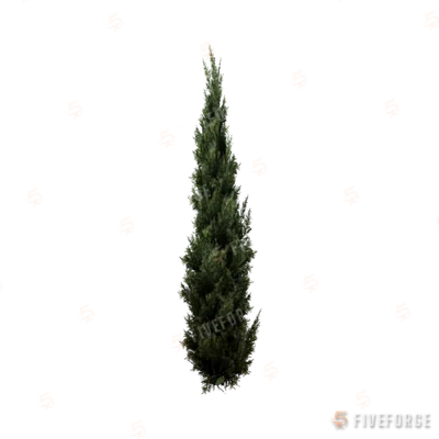 prop_tree_cedar_s_04 GTA 5 object