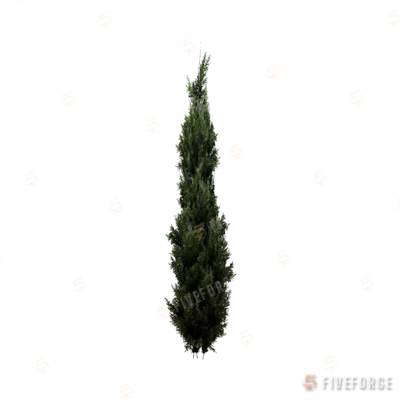 prop_tree_cedar_s_05 GTA 5 object