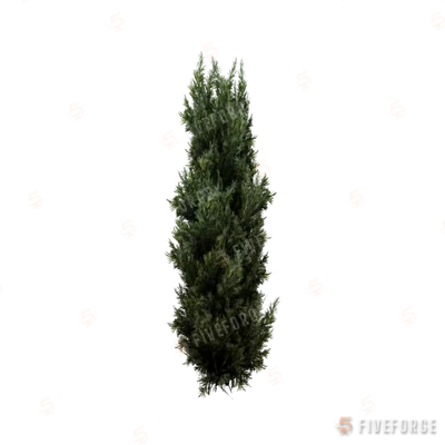 prop_tree_cedar_s_06 GTA 5 object