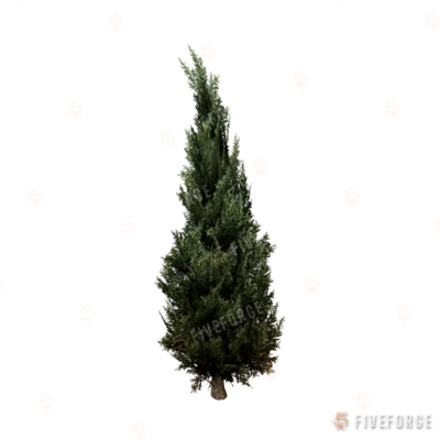 prop_tree_cypress_01 GTA 5 object
