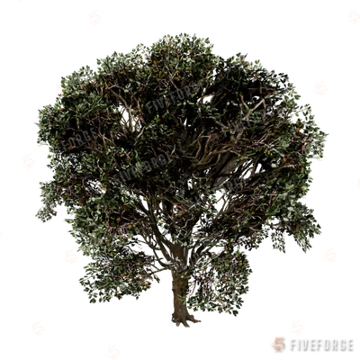 prop_tree_eng_oak_01 GTA 5 object