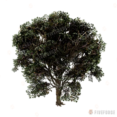 prop_tree_eng_oak_cr2 GTA 5 object