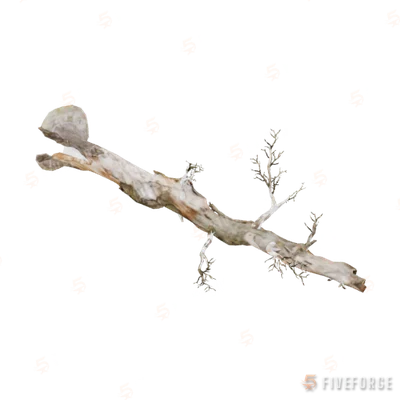 prop_tree_fallen_02 GTA 5 object