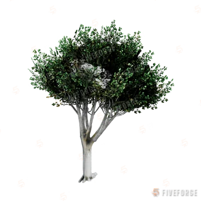 prop_tree_lficus_03 GTA 5 object