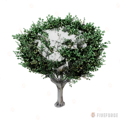 prop_tree_lficus_05 GTA 5 object