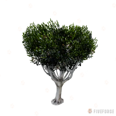 prop_tree_lficus_06 GTA 5 object