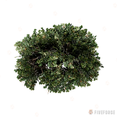prop_tree_maple_02 GTA 5 object