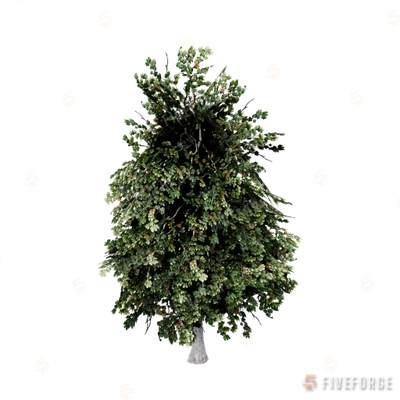 prop_tree_maple_03 GTA 5 object