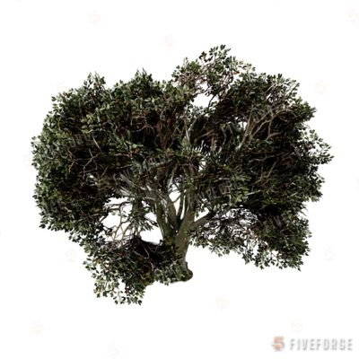 prop_tree_oak_01 GTA 5 object
