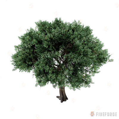 prop_tree_olive_01 GTA 5 object