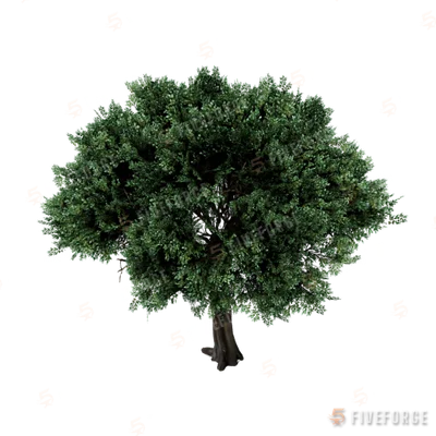 prop_tree_olive_cr2 GTA 5 object