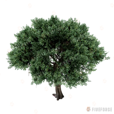 prop_tree_olive_creator GTA 5 object