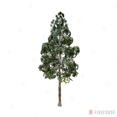 prop_tree_pine_01 GTA 5 object