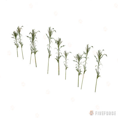 prop_veg_corn_01 GTA 5 object