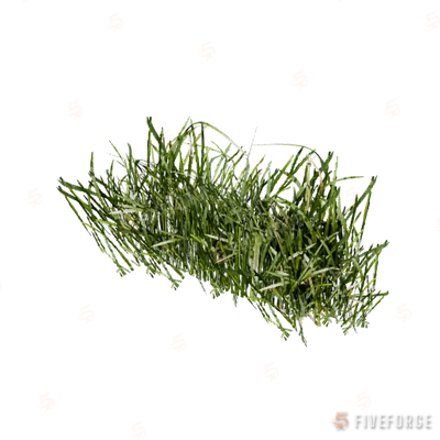 prop_veg_grass_01_a GTA 5 object
