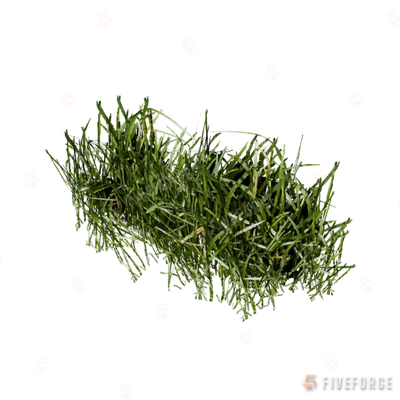 prop_veg_grass_01_b GTA 5 object