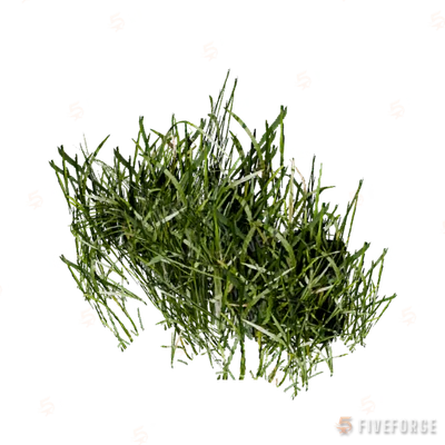 prop_veg_grass_01_c GTA 5 object