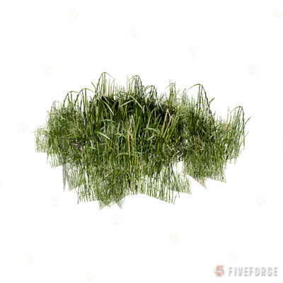 prop_veg_grass_01_d GTA 5 object