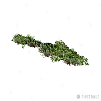 prop_weeds_nxg02 GTA 5 object