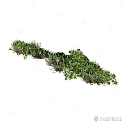prop_weeds_nxg02b GTA 5 object