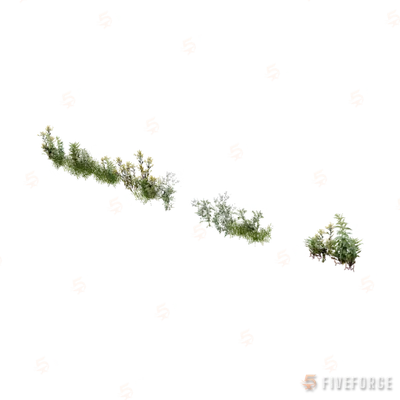 prop_weeds_nxg04 GTA 5 object