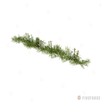 prop_weeds_nxg05 GTA 5 object