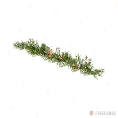 prop_weeds_nxg05b GTA 5 object