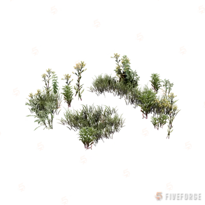 prop_weeds_nxg06 GTA 5 object
