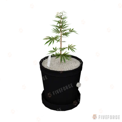 sf_prop_sf_weed_01_small_01a GTA 5 object
