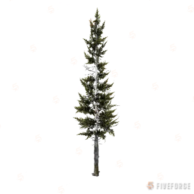 test_tree_cedar_trunk_001 GTA 5 object