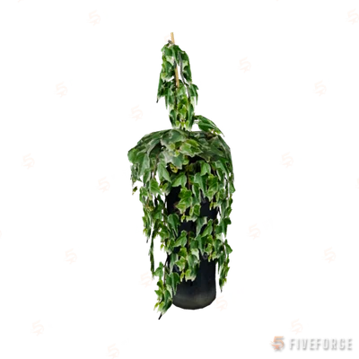 v_res_ivy GTA 5 object