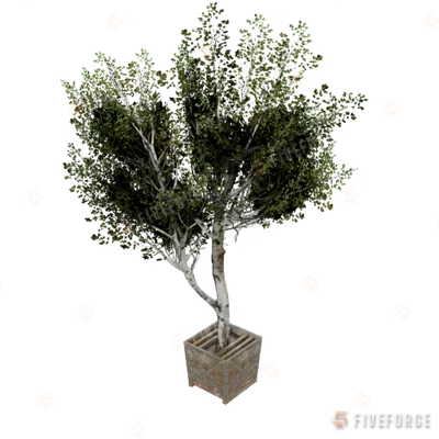 xm3_prop_xm3_prop_tree_01a GTA 5 object