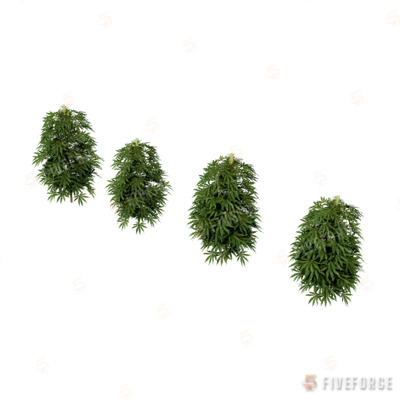 xm3_prop_xm3_weed_set_01a GTA 5 object
