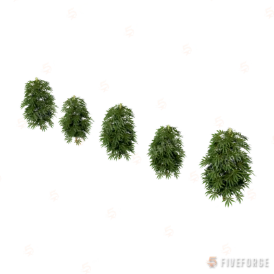 xm3_prop_xm3_weed_set_01b GTA 5 object