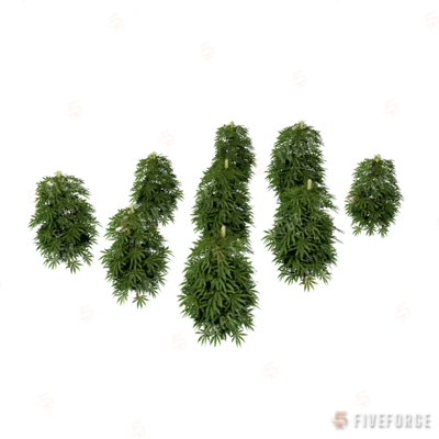 xm3_prop_xm3_weed_set_01c GTA 5 object