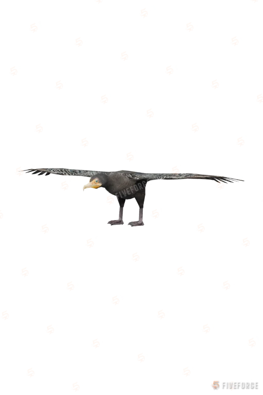 Cormorant GTA 5 ped