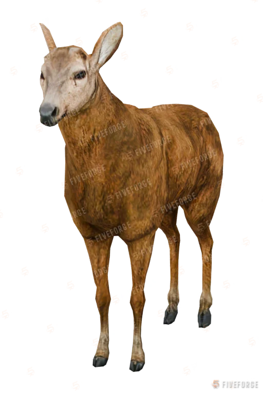 Deer (a_c_deer) GTA 5 ped