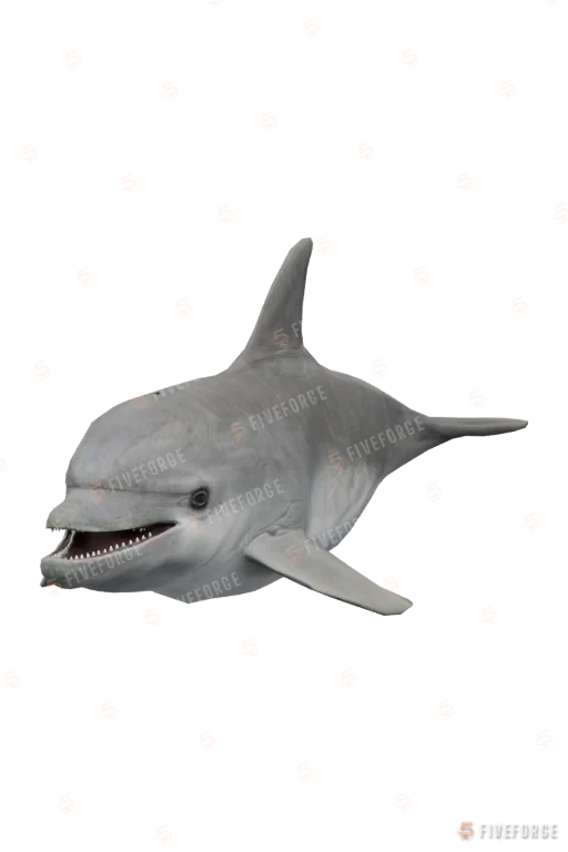 a_c_dolphin GTA 5 ped