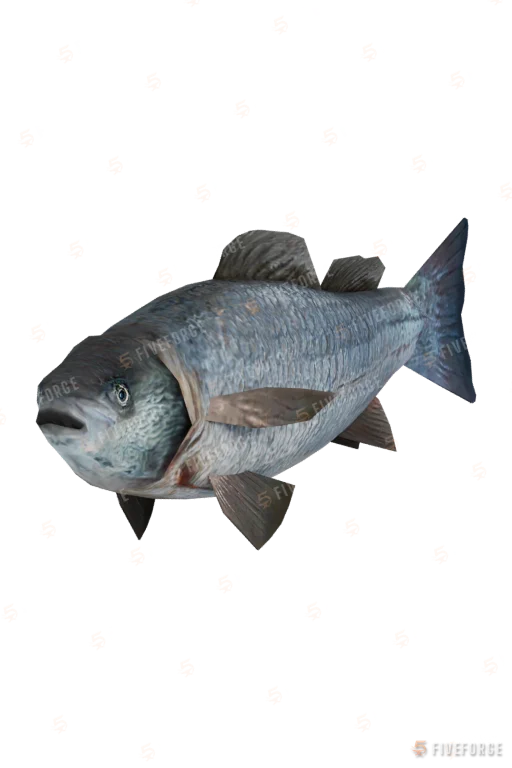 a_c_fish (a_c_fish) GTA 5 ped