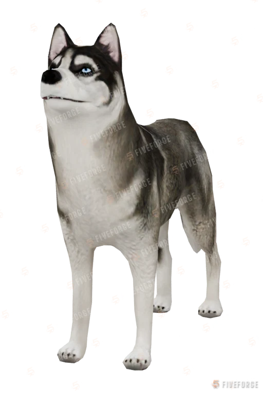 Husky (a_c_husky) GTA 5 ped