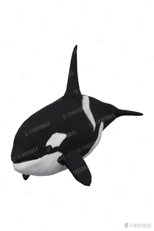 a_c_killerwhale GTA 5 ped